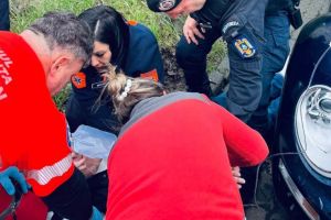 Viaţă salvată în ultima clipă de jandarmii timişoreni pe bulevardul Liviu Rebreanu