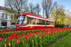 La Arad biletele de tramvai vor costa 1 leu pe zi