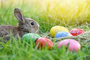 Cum va fi VREMEA de Florii şi Paşte 2026 în Transilvania: Variaţii mari de temperatură şi ploi. Prognoza pentru următoarele 2 săptămâni