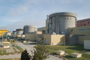 Nuclearelectrica SA are bani de dat catre Elena Negulici, fostul director economic de la CNE Cernavoda, achitata definitiv intr-un dosar DNA. Compania a facut apel 