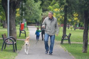 Primăria Oradea pregăteşte un regulament care să permită accesul câinilor pe spaţiile verzi (FOTO)