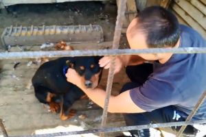 «Bestia de la Sărata»