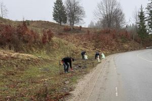 Ecologizare în zona Colibiţa. S-au strâns peste 100 de saci de deşeuri