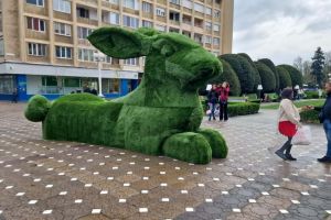 Ce facem astăzi, 1 aprilie 2026, în Timişoara?