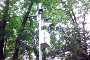 Camere video amplasate langa lacul cu pesti exotici din Parcul Municipal (FOTO)