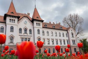 22 iulie, propusă drept Ziua Municipiului Lugoj. Primăria a lansat consultarea publică