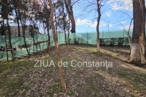 Primarul Chitac si Cambela Prod, intre un nou proces cu 123 de reclamanti si termenul decisiv de astazi pentru suspendarea santierului