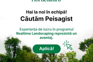 Horticultura Timişoara caută peisagist
