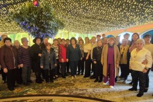 Alegeri OFSD Medgidia: Andreea Ungureanu, noua presedinta a organizatiei de femei