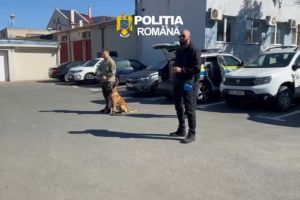 Actiune educativa pentru 150 de elevi din Constanta. Demonstratii din partea IPJ