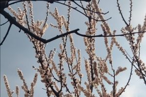 #ConstantaEsteBine: 2 aprilie 2026 Mijloc de saptamana ploioasa de luna aprilie