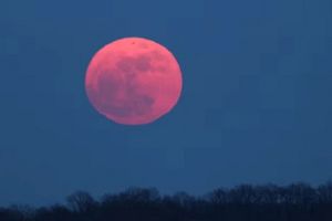 Luna Roz, pe 2 aprilie 2026. Ce vom vedea pe cer