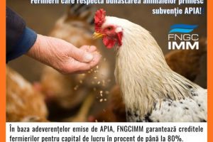 FNGCIMM continuă şi în 2026 sprijinul pentru fermieri: acces mai uşor la credite garantate!