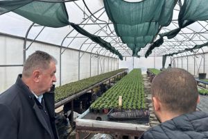 Piteşti: Prima seră modernă construită în ultimii 40 de ani a primit amplasamentul oficial