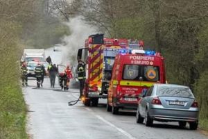 Autoutilitară distrusă complet de flăcări pe un drum din Olt. Șoferul a reuşit să se salveze în ultimul moment/ FOTO