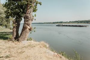 Via Danubiana ajunge la Suhaia: o zi în natură, pe malul Dunării, pe 4 aprilie