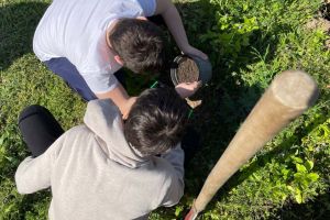 Mobilizare generală la Remetea Mare. Primarul cheamă locuitorii la o acţiune de curăţenie şi plantări de pomi