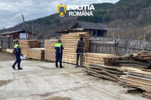 FIENI: Lemn fără acte, confiscat de poliţie. Amenzi pentru trei firme din domeniu