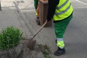 FOTO: Sylevy Cleaning, eforturi pentru un Târgu Mureş mai curat