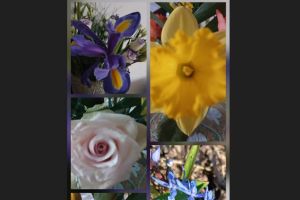 #ConstantaEsteBine: 3 aprilie 2026. Vremea capricioasa de primavara ne tine in casa 