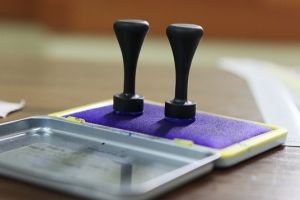 Informare de la Guvern: Alegeri parţiale în 10 localităţi din ţară, inclusiv la Augustin, în judeţul Braşov