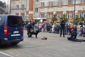 De Ziua Jandarmeriei Romane: Ziua portilor deschise, organizata de Gruparea de Jandarmi Mobila Tomis Constanta (FOTO)