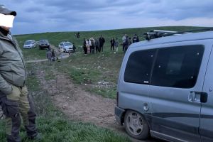 Rangeri ai Parcului Natural Lunca Mureşului, agresaţi de hoţii de lemne (FOTO)