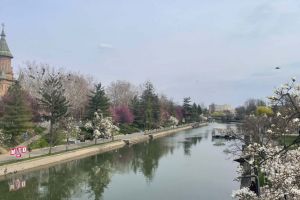 Ce facem astăzi, 4 aprilie 2026, în Timişoara?