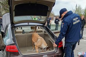 Aproape 1.000 de persoane au fost verificate la frontierele din Satu Mare