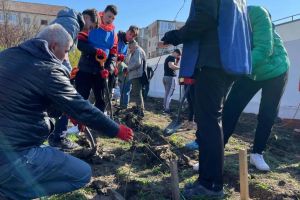 FOTO. Aproape 300 de timişoreni au venit ca voluntari la plantarea viitoarei păduri urbane din zona Bucovina