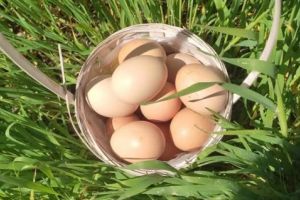 Sambata lui Lazar - obiceiuri stravechi si legenda Lazarelului in satul traditional romanesc