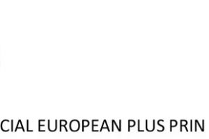 E-Skill – Abilităţi digitale pentru piaţa muncii – COD SMIS 334321