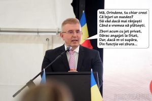 Bihorel: Lui Grindeanu, fratele Micula îi arată... pisica