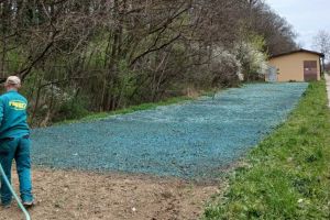 FOTO. O suprafaţă de un sfert de hectar din Ghiroda Nouă, de la marginea Pădurii Verzi, hidroînsămânţată