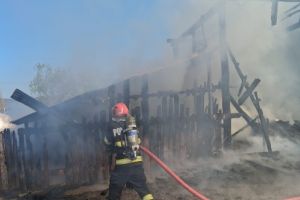 Incendiu la un saivan de animale din Alesd. 15 iezi au ars de vii