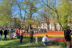 Ce facem astăzi, 6 aprilie 2026, în Timişoara?