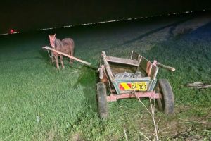 Accident, azi-noapte, la Sihlea! Un bărbat a murit după ce s-a răsturnat cu căruţa!