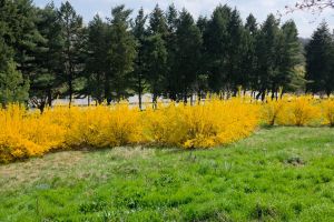 Cum va fi vremea până la începutul lunii mai. Anunţul meteorologilor