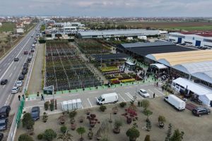 Garden Center Landisa Plant – pata de culoare din Zona Industrială care face Aradul mai frumos (GALERIE FOTO)