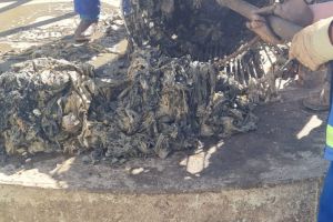 Târgu Jiu: Deşeuri aruncate în canalizare. Avertismentul Aparegio!