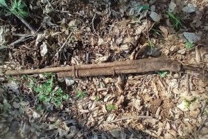 Armă fabricată în SUA, descoperită într-o pădure din apropierea Bistriţei