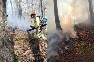 Weekend aglomerat pentru pompierii din Bihor: S-au luptat cu focul pe mai multe hectare de pădure, iar un atelier din Oradea a fost cuprins de flăcări (FOTO/VIDEO)