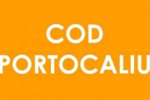Alertă! Mai multe localităţi din judeţul Botoşani au intrat sub Cod Portocaliu