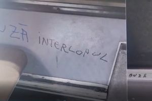 FOTO+VIDEO: Masuri aplicate de Politia Locala Constanta in urma unor acte de vandalism din autobuzele CT BUS