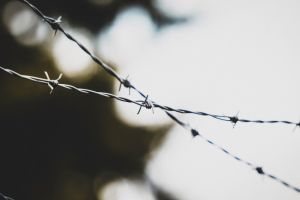 Ordin de plata falsificat pentru servicii de lux: Un recidivist, trimis in judecata pentru inselarea unor unitati de cazare din Constanta (RECHIZITORIU) 