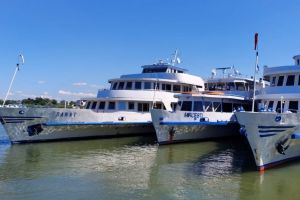 Navrom SA reduce programul de traversare a Dunarii intre IC Bratianu si Galati, din cauza pierderilor operationale