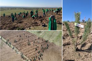 Aproape 130 de voluntari au plantat peste 4.000 de arbori şi arbuşti în pădurea comunitară de la Ineu (FOTO)