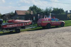 Câine decedat în râul Mureş