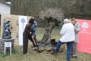 FOTOREPORTAJ. Doi ani de grijă, speranţă şi vindecare: Povestea Spitalului Samaritean, construit din vis şi dedicare