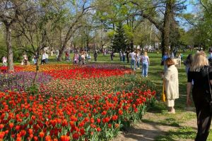 Ce facem astăzi, 7 aprilie 2026, în Timişoara?